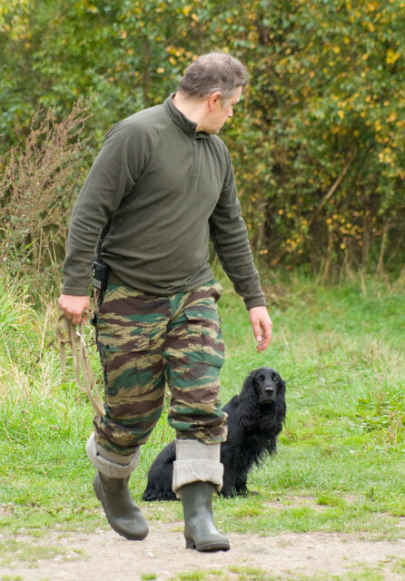Команды и натаска в дрессировке русского охотничего спаниеля