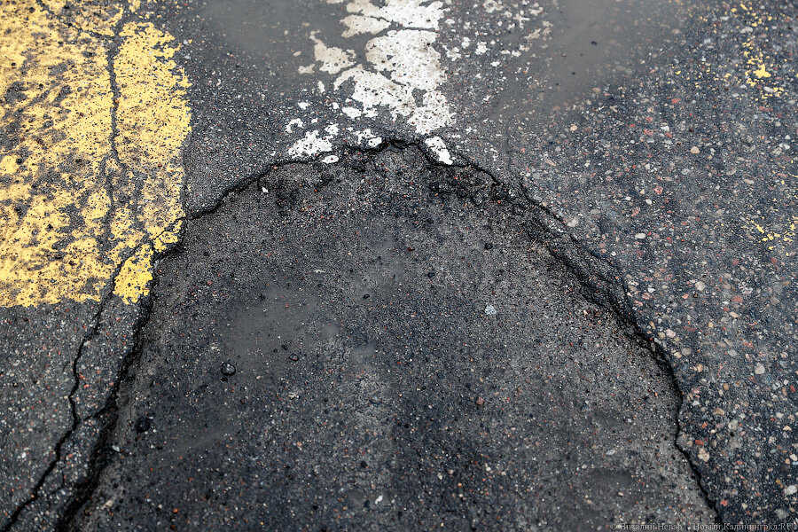 Фото: Виталий Невар / Новый Калининград