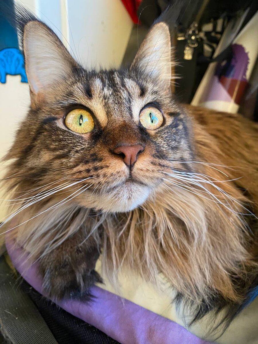 Фото из личного архива.