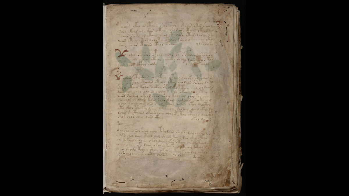 Первый лист «Рукописи Войнича». Авторство: Неизвестен. Beinecke Rare Book &amp; Manuscript Library, Yale University ([1])., Общественное достояние, https://commons.wikimedia.org/w/index.php?curid=7981757