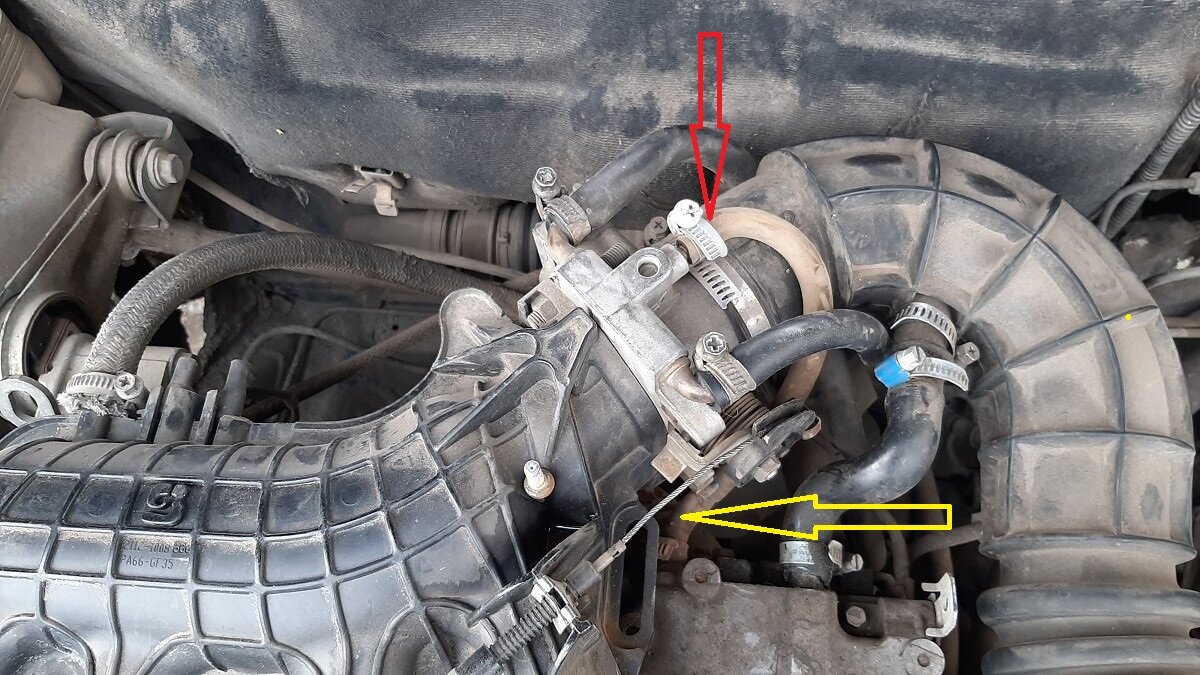 фото автора. Малый круг.