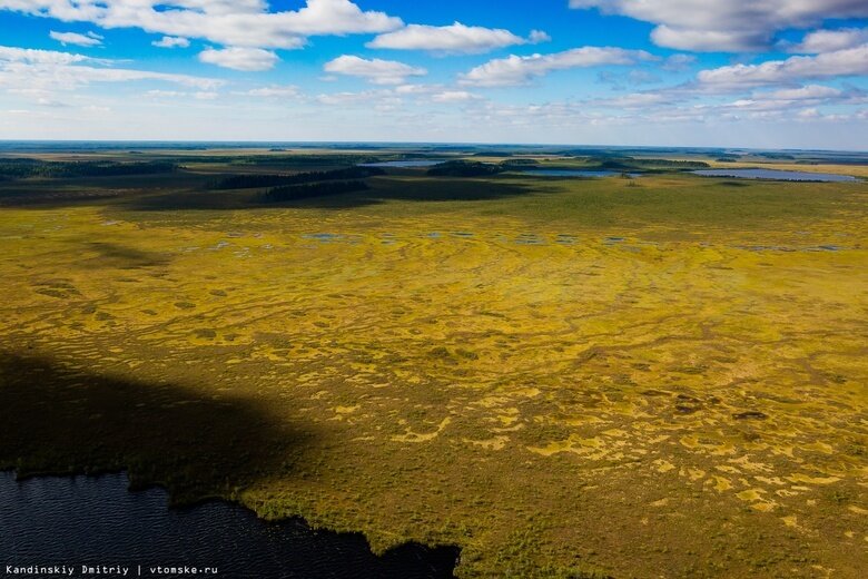    Фото: Дмитрий Кандинский / vtomske.ru