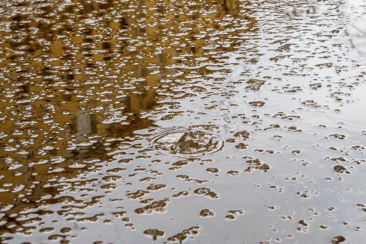 Фото: Олег Золото / MR7