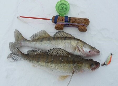 Самодельные блесна на окуня для зимней рыбалки