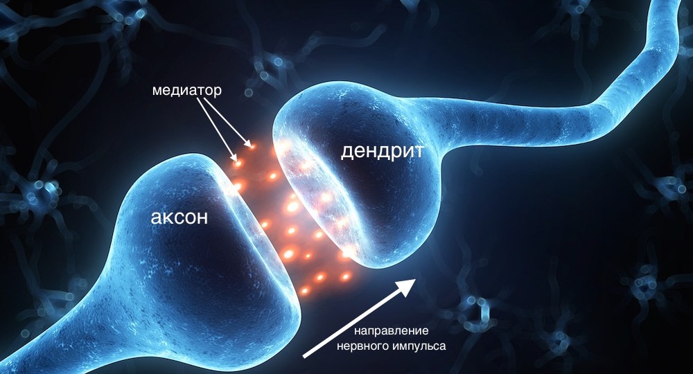 Время Прочтения ≈ 5-6 минут