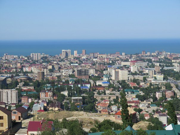 Тарки Тау