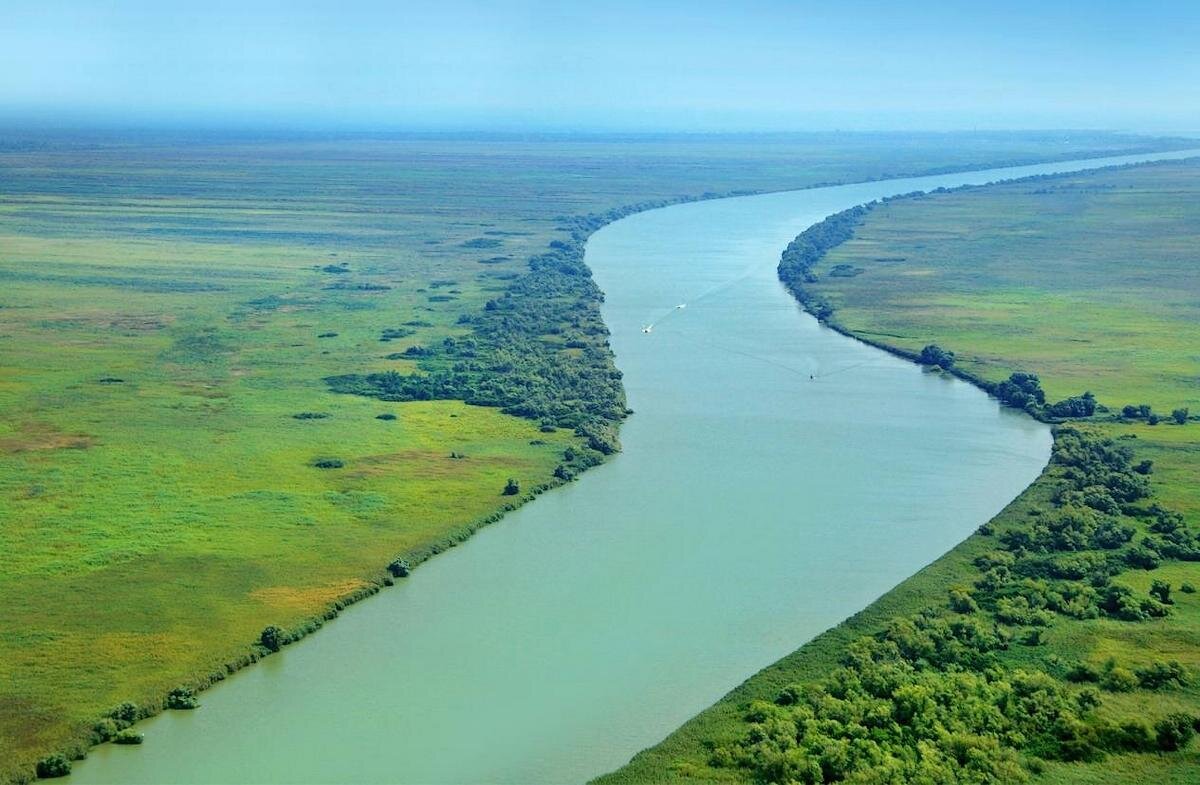 Море в которое впадает самая длинная река. Равнинная река Дунай. Устье реки Дунай. Река Дунай Болгария. Дунай в Болгарии.