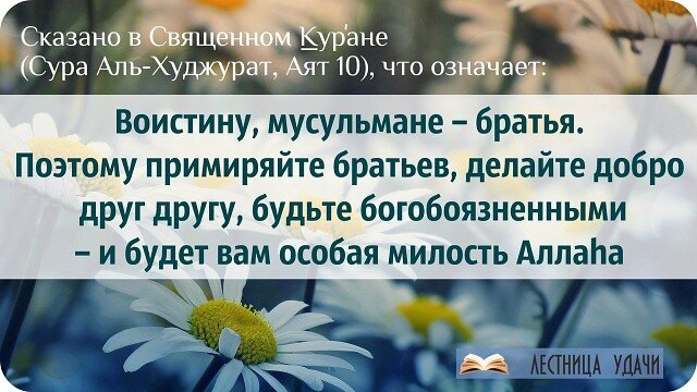 Сура комнаты аят 10