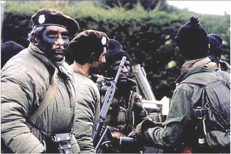 Группа "Бузо тактико" (в беретах) и коммандос морской пехоты (Agrupación de Comandos Anfibios, APCA).