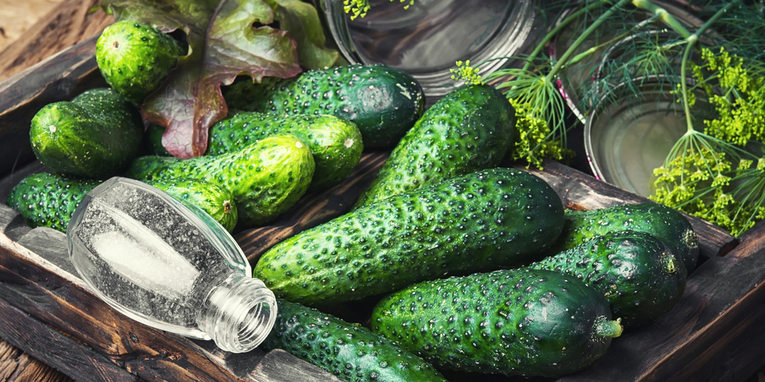 Эти болезни оставят Вас без огурцов