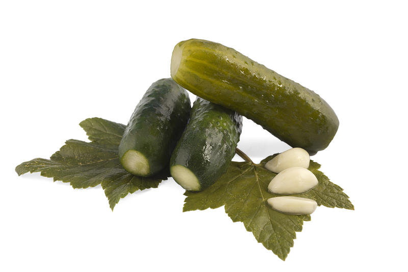 Философские огурцы