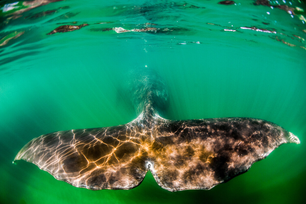 Фото: ТАСС/Юрий Смитюк 