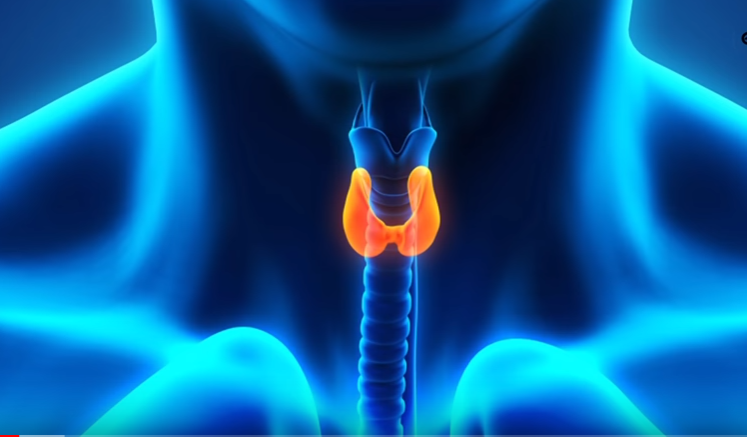 Источник: https://youtu.be/nze0-P-J_gY