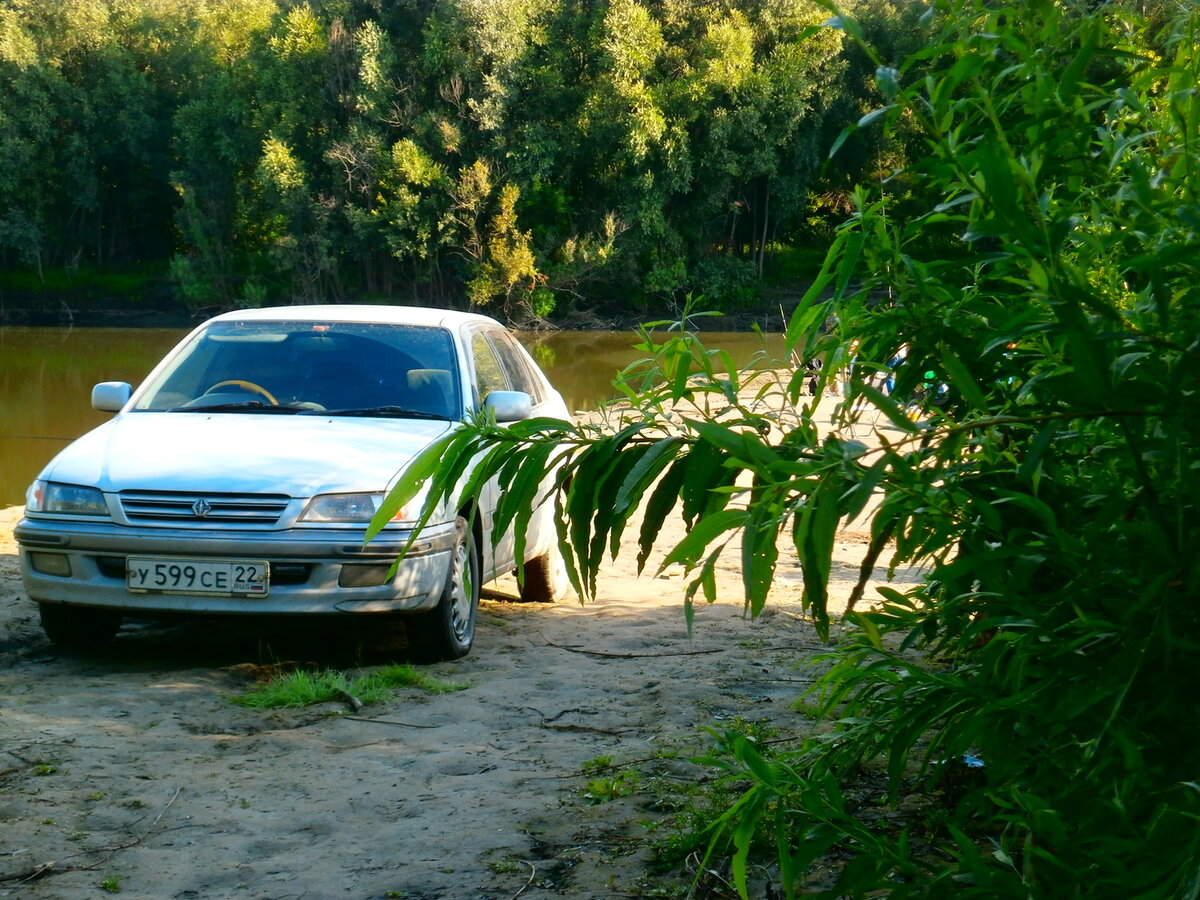                                                          У воды