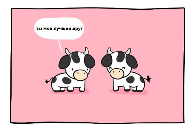 Исследователи сводили коров по 30 минут сначала с "лучшим другом" потом просто со знакомой коровой. Оказалось что с "лучшим другом" сердечный ритм и уровень стресса были намного ниже.