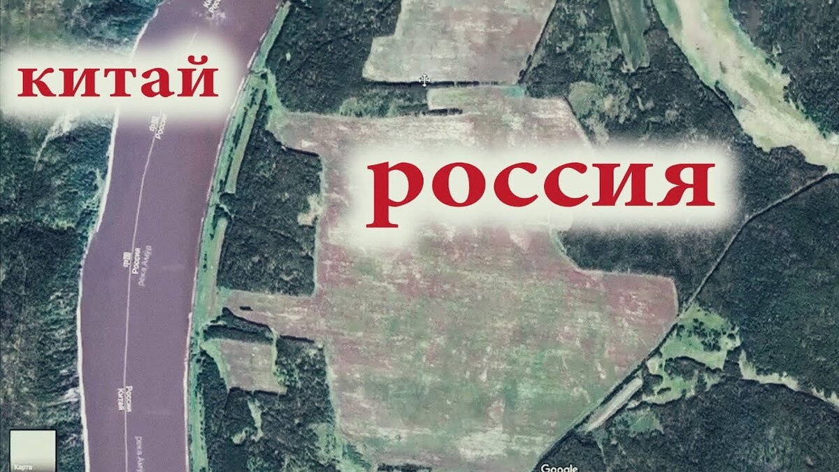 вырубка леса в китай