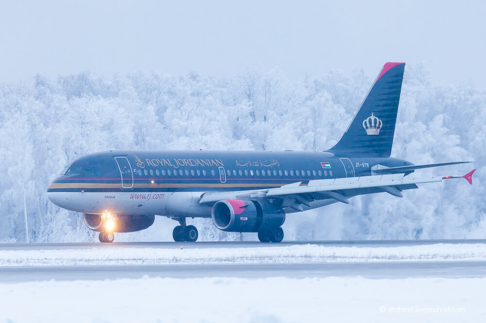 аэропорт домодедово имени ломоносова. белавиа в пулково. аэропорт домодедово. аэропорт домодедово санкт петербург. аэропорт домодедово фото.