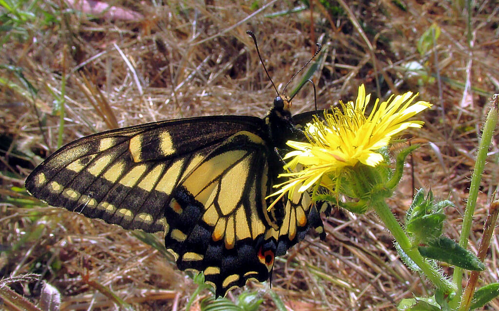 10 интересных фактов о Сибири, которых вы могли не знать | Странник | Дзен