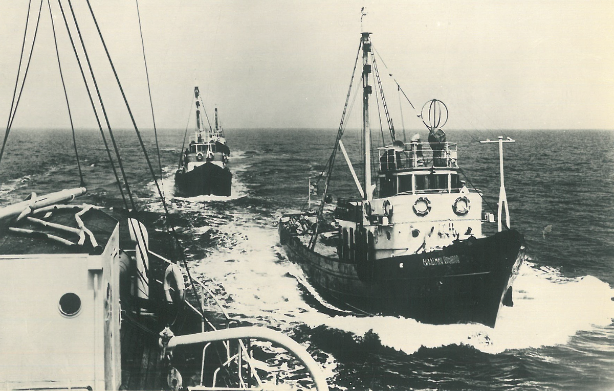 Поиск рыбы на Каспии