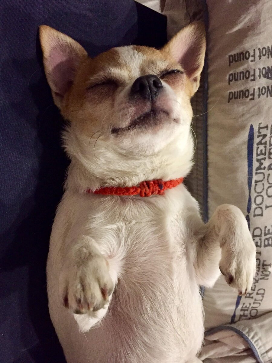 Можно делать маникюр.