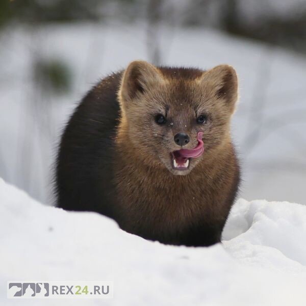 Фото: Валерий Коханов