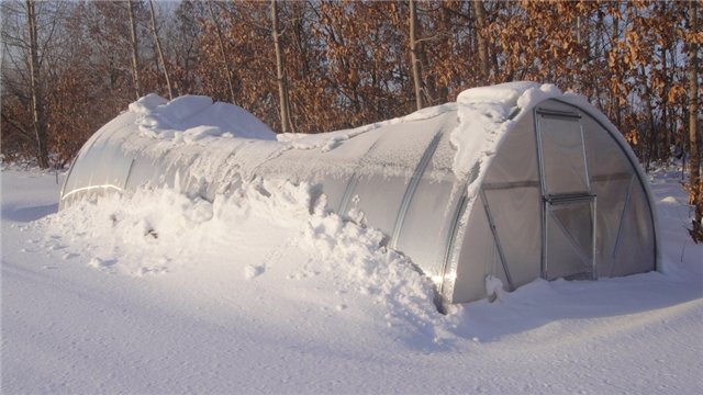 Фото из Интернет