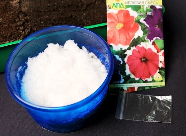 Фото: https://teplica-exp.ru/wp-content/uploads/2017/01/Posev-semyan-petunii-na-sneg.jpg