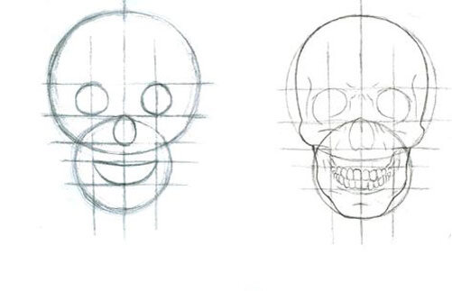 Рисунок гипсовой головы Дорифора | Как рисовать, Рисунок, Рисовать