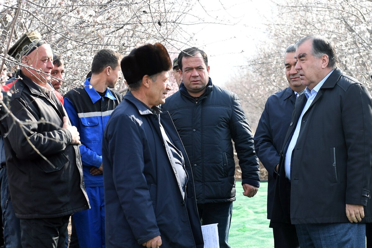 Пагода Дангара Таджикистан. Пагода Таджикистан город Дангара.