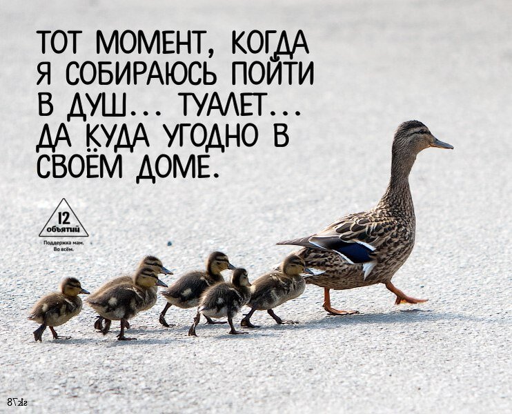 Тот момент, когда я собираюсь встать в 5:40 и пойти спокойно сварить себе кофе и написать парочку хороших текстов в одиночестве и сосредоточении. Один Игнат стоит этих шестерых.