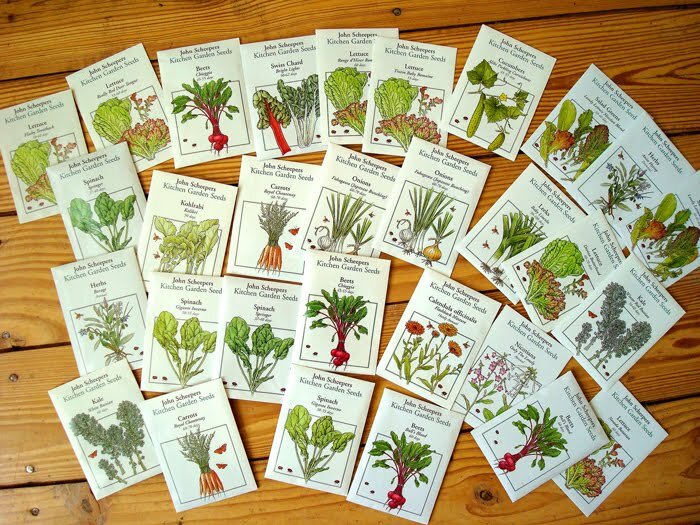 Фото lifescapecolorado.com