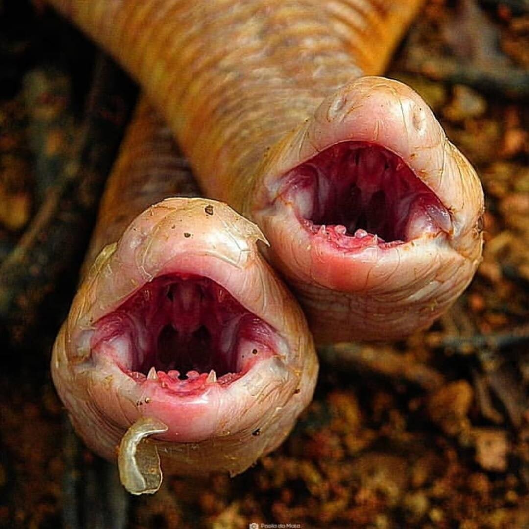 Садитесь поудобнее, сегодня станете чуть эрудированнее 