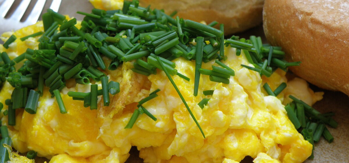 Жаренное яйцо с луком. Очень аппетитно и намного полезней простой яичницы.