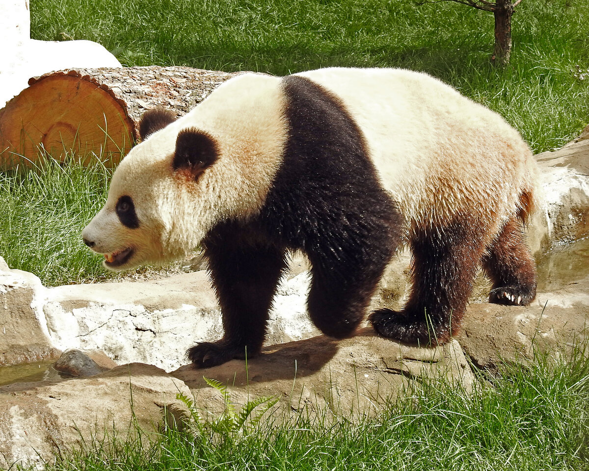 Ну-ка, что там у нас еще?