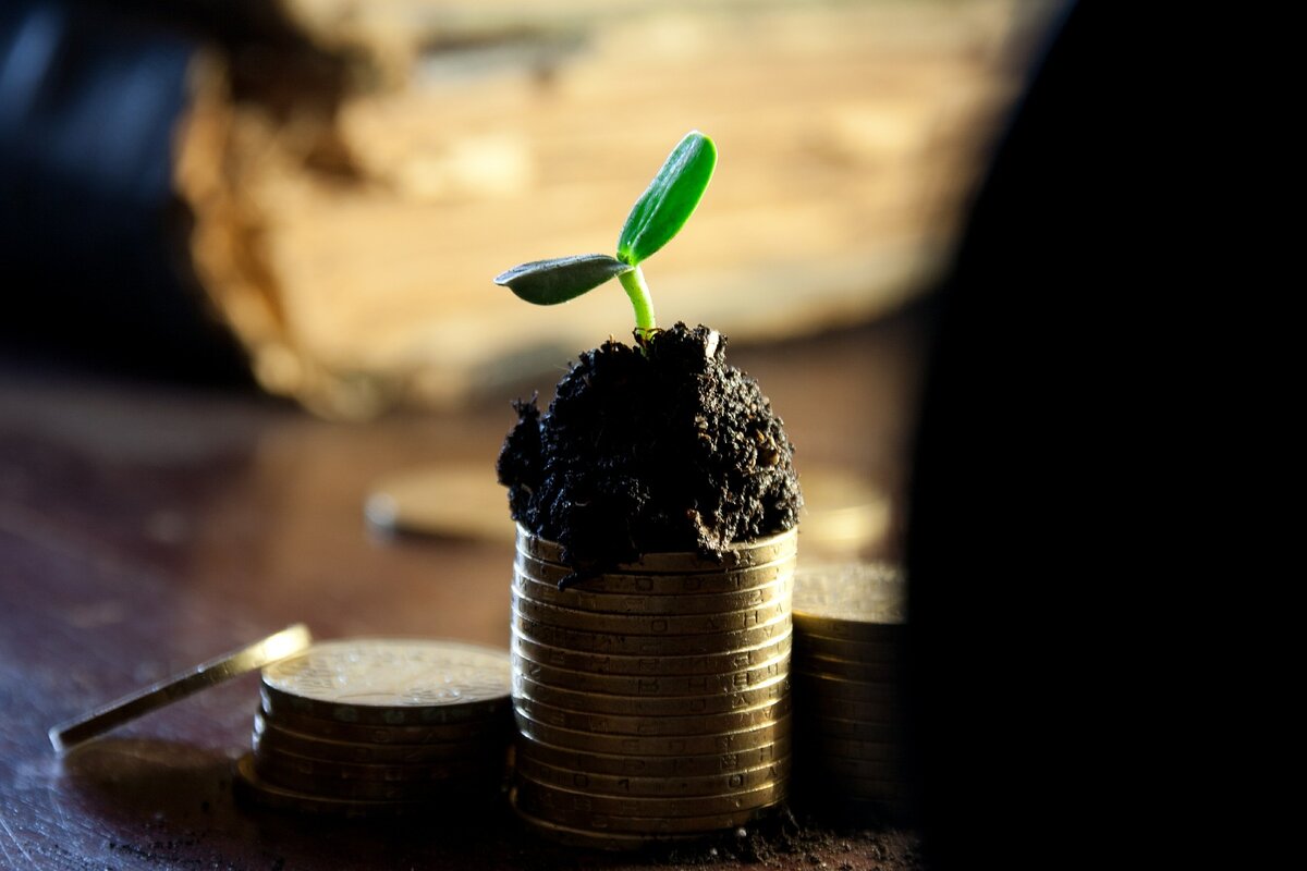 Фото: Pixabay.com