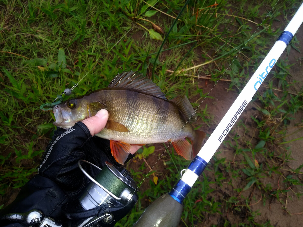 На данной фото монтаж с обычным офсетным крючком.