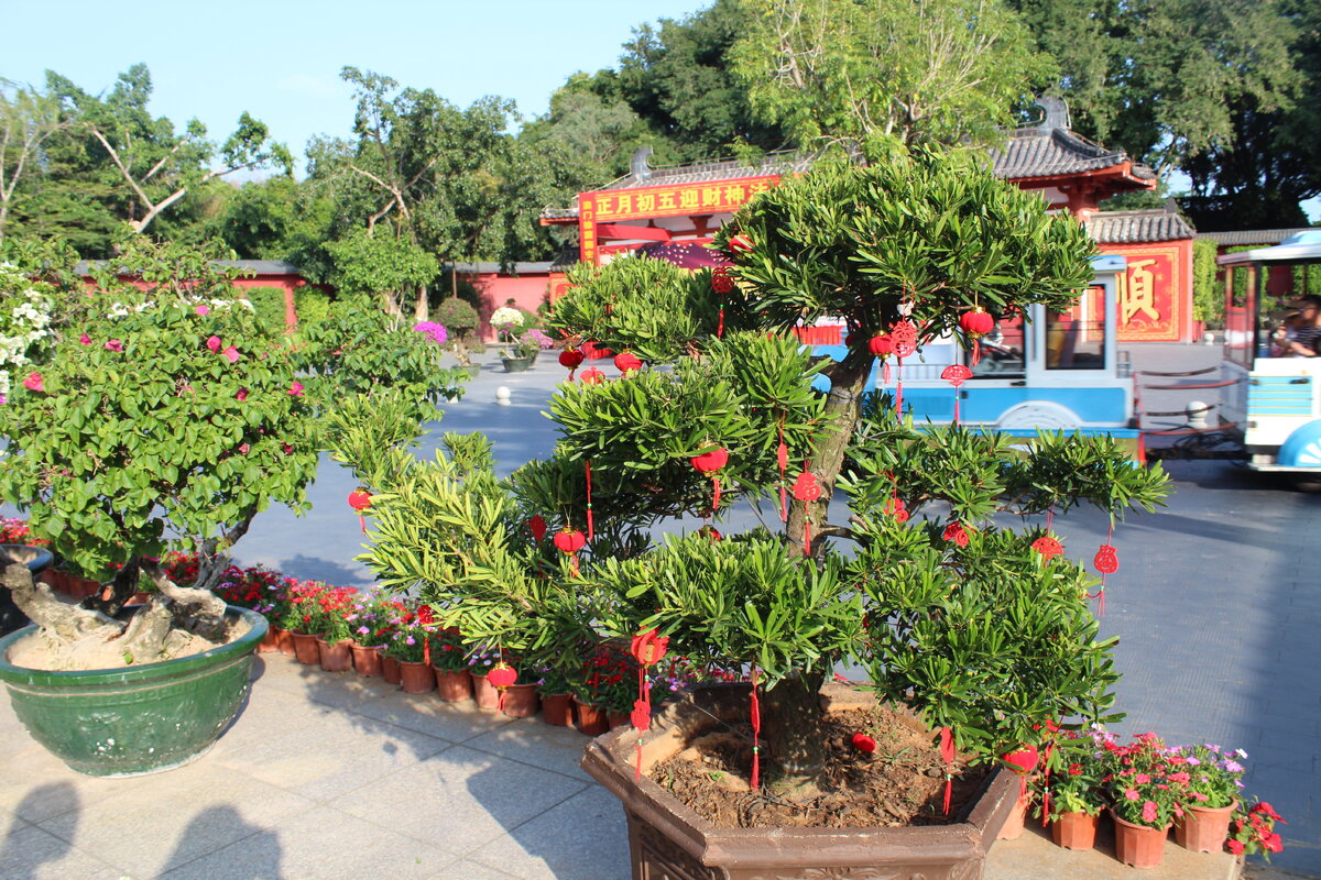 Красные фонарики, какие-то китайские красные с золотым подвески - это на каждом шагу. Предновогодний Китай - это обилие красок, шумные китайцы, очереди на развлечения и в кафешках, толпы гуляющих по вечерним набережным Саньи.  