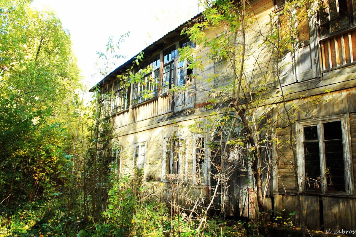 Пионерский лагерь московский родник истринский район фото