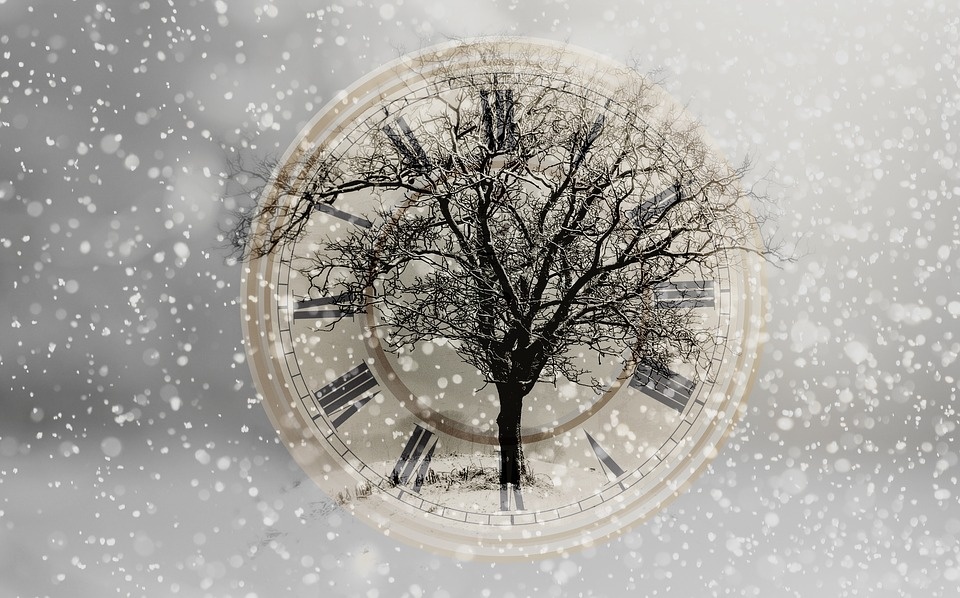 https://pixabay.com/ru/photos/%D1%81%D0%BD%D0%B5%D0%B3-%D1%81%D0%BD%D0%B5%D0%B3%D0%BE%D0%BF%D0%B0%D0%B4-2910676/