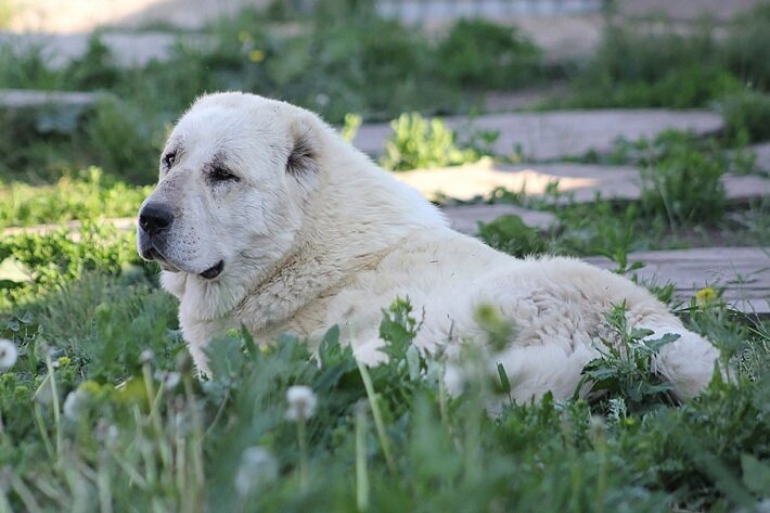 Фото из свободного доступа "яндекс-картинки"