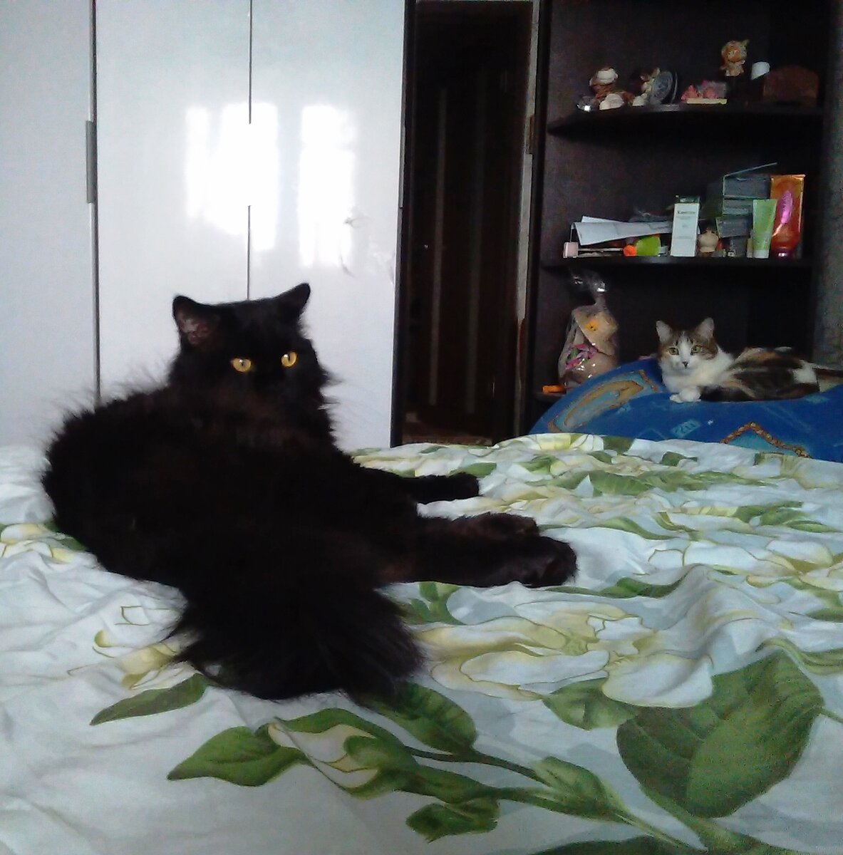 Чернух и Фрося:  "Что день грядущий нам готовит?"