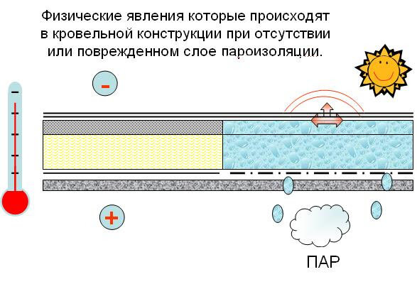 Кровельный пирог: основные виды, конструкции и особенности материалов