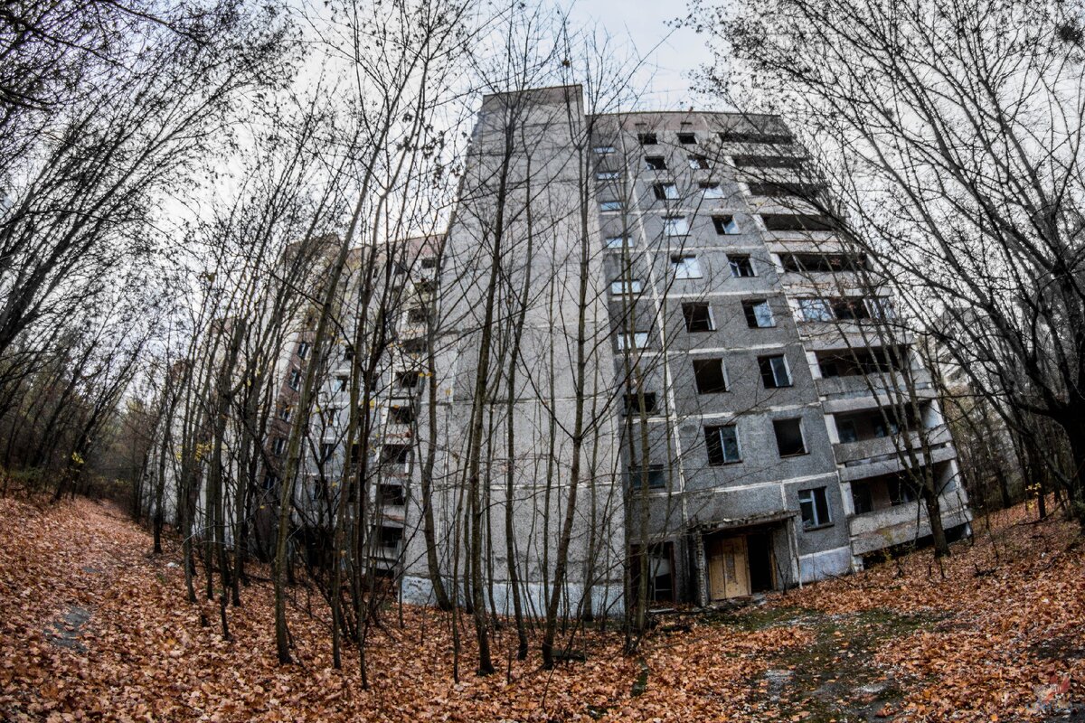 Как выглядят дома в чернобыле