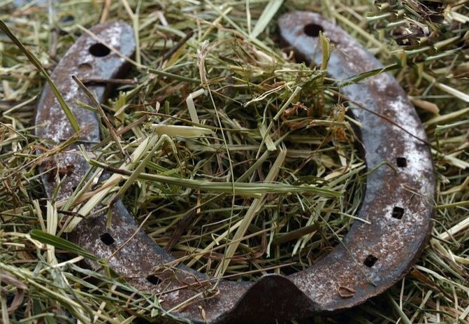 Изображение взято из свободных источников