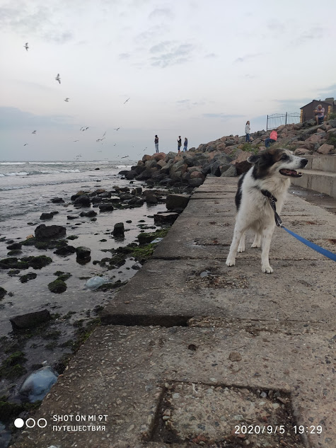 На Чёрном море. Фото автора