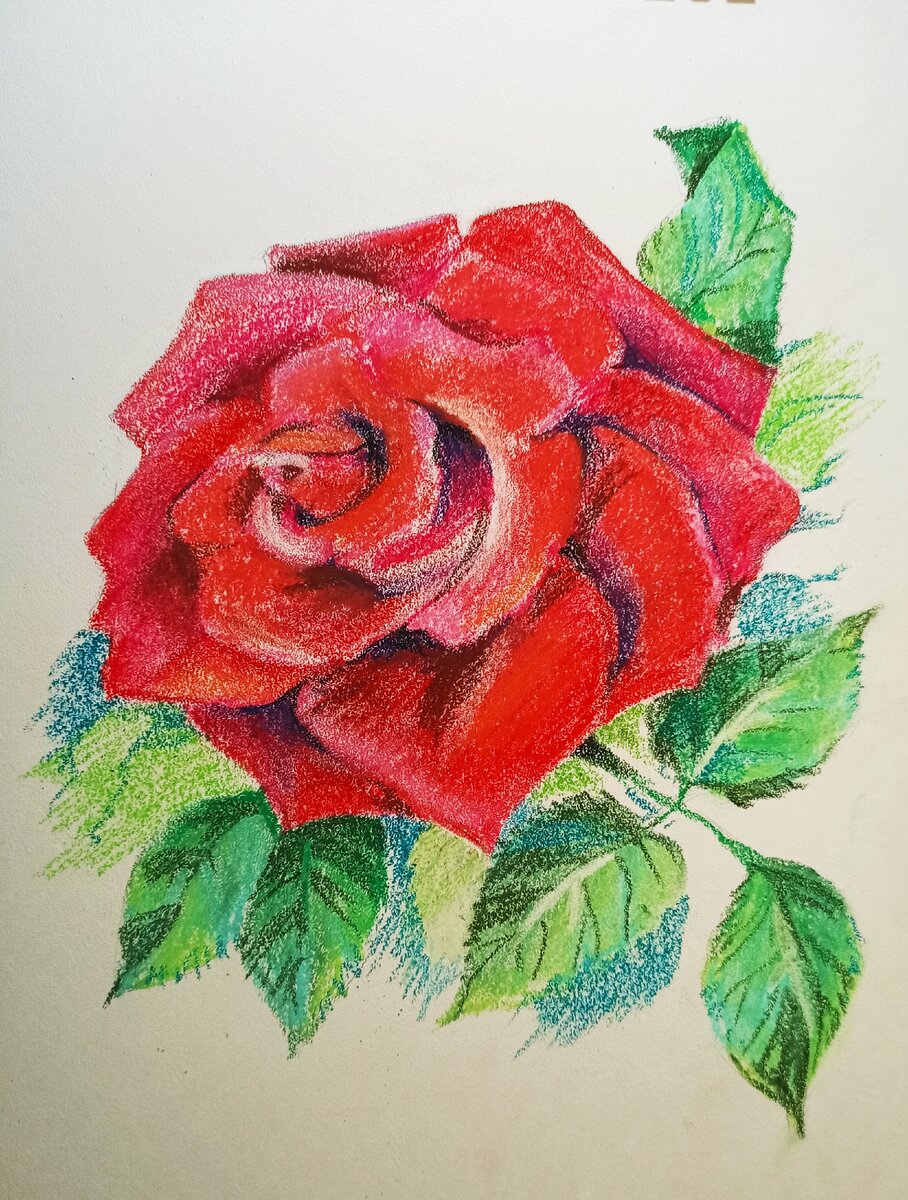 Как нарисовать красивую розу карандашом
