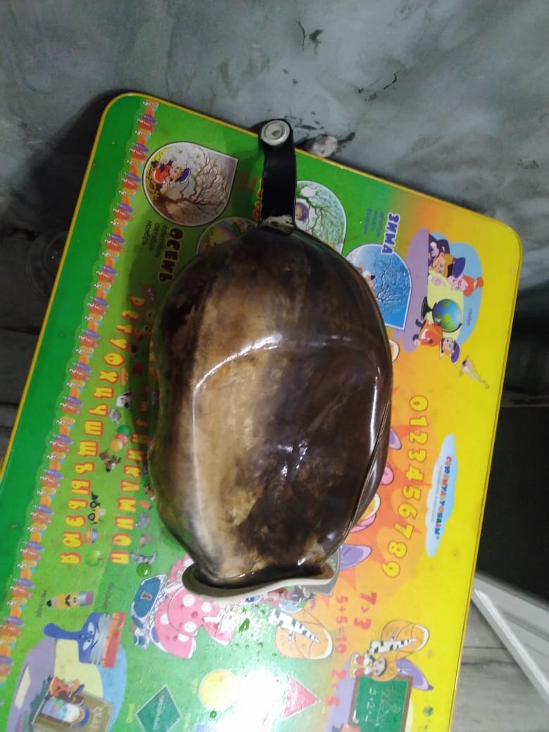 Замена мембраны гидроаккумулятора насосной станции Вихрь АСВ-800/24 | Я ...