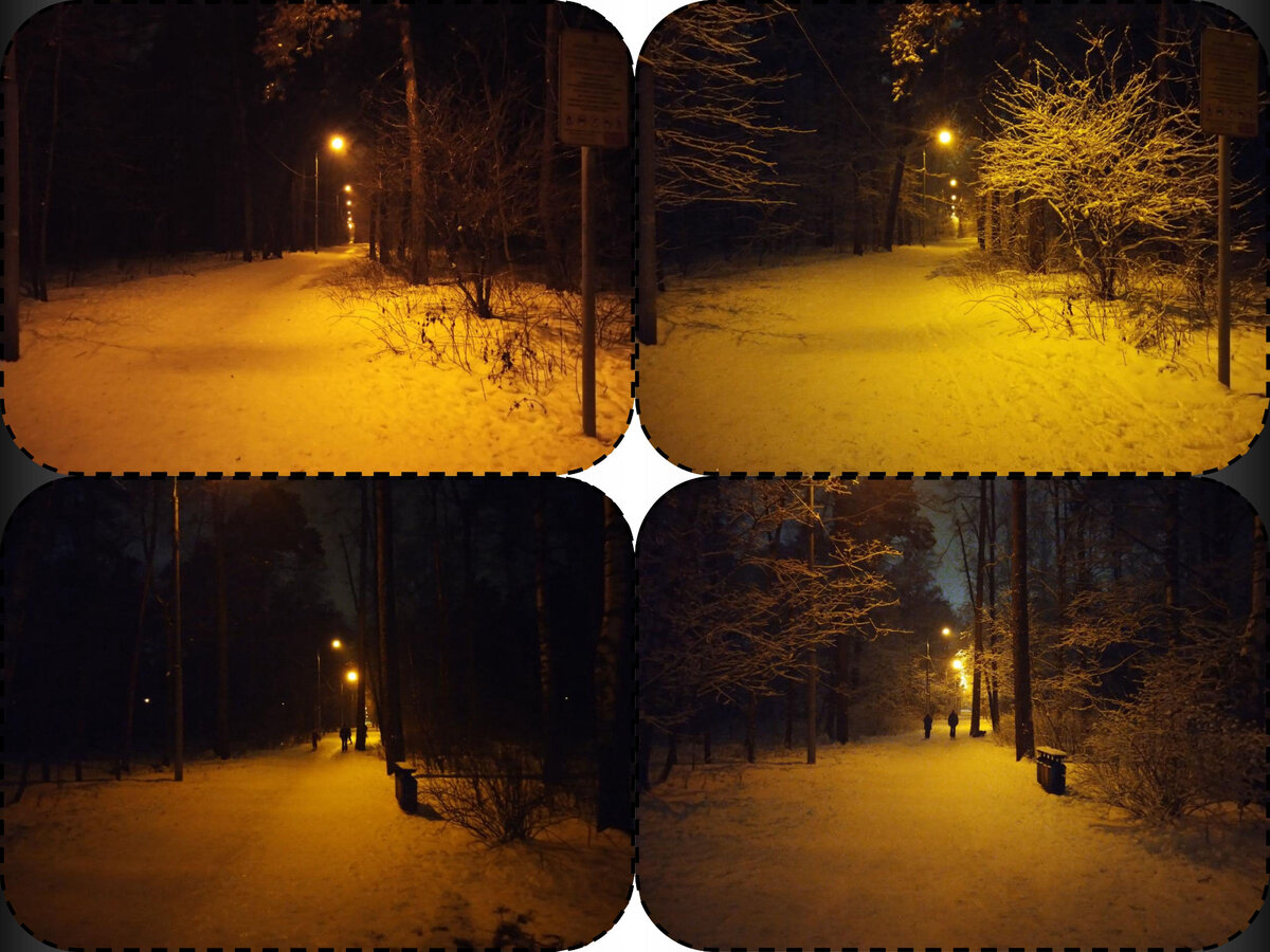 Аллея парка Двенадцати Лучей 01-02.01.21