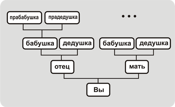 Восходящее древо
