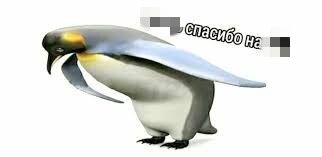 Спасибо, что не запрещаешь, что бы мы без тебя делали. 
